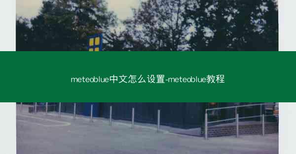 meteoblue中文怎么设置-meteoblue教程