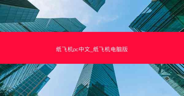 纸飞机pc中文_纸飞机电脑版