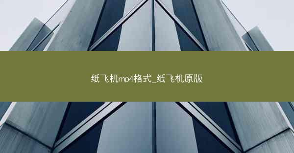 纸飞机mp4格式_纸飞机原版